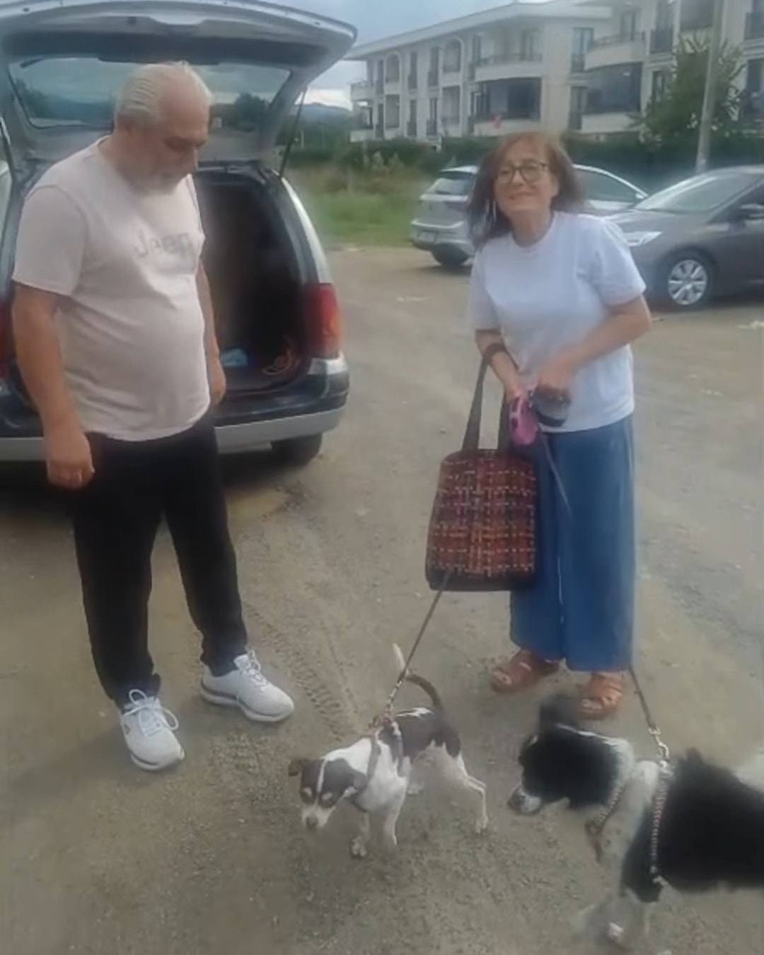 İki küçük köpek tasmalarıyla sahiplerinin yanında, arkada bagajı açık araç.