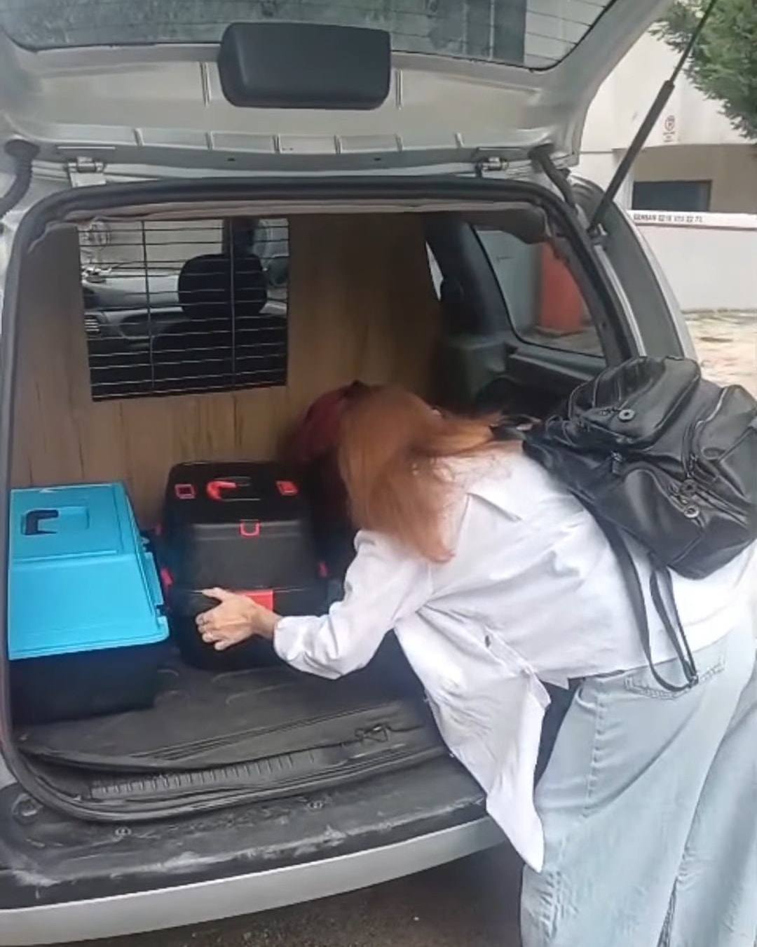 Bir kadın, aracın ahşap kaplı arka bölmesine taşıma kafeslerini yerleştiriyor.